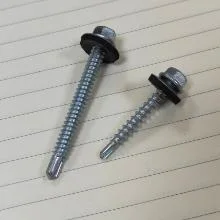 Stainless Steel Screws/Self Drilling Screw/Self Tapping Screw/Roofing Screw/Machine Screw/Wood Screw/Chipboard Screw/Brass Screw/Drywall Screw /Set Grub Screws